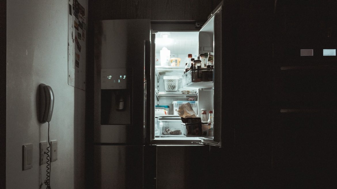 How to Choose Your Best Refrigerator System